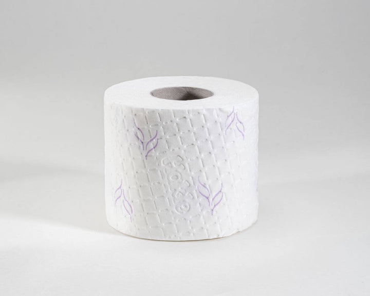 Hakle Toilettenpapier Sanft & Sicher 72 Rollen