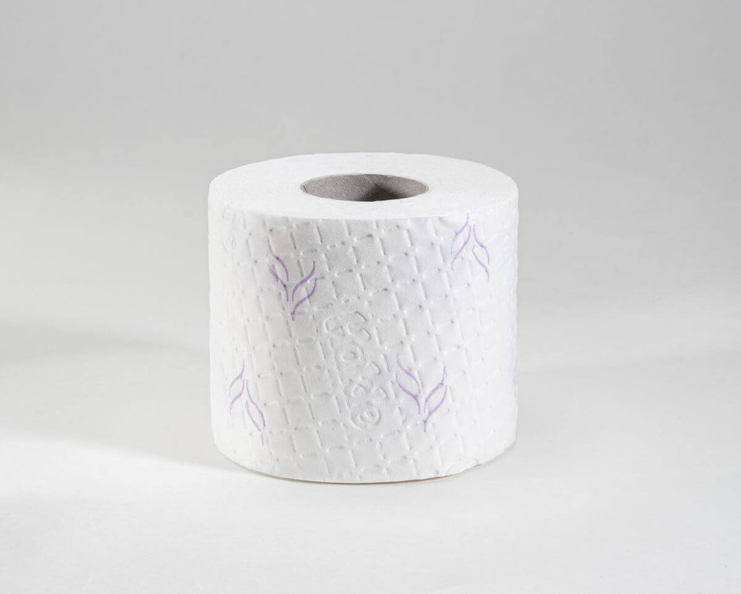 Hakle Toilettenpapier Sanft & Sicher 20 Rollen